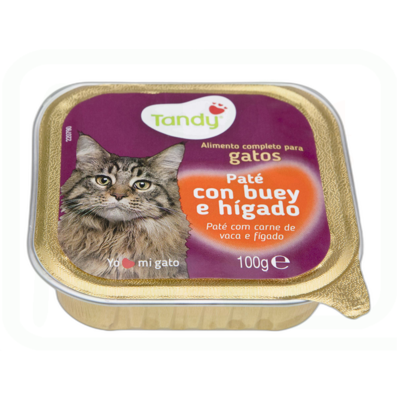 ALIMENTO GATOS BUEY TARRINA 100GR 