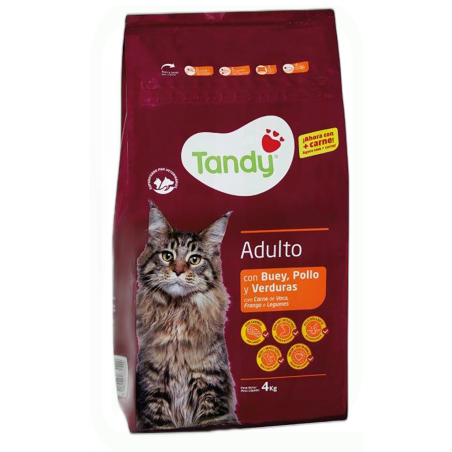 ALIMENTO GATOS CARNE BUEY 4KG