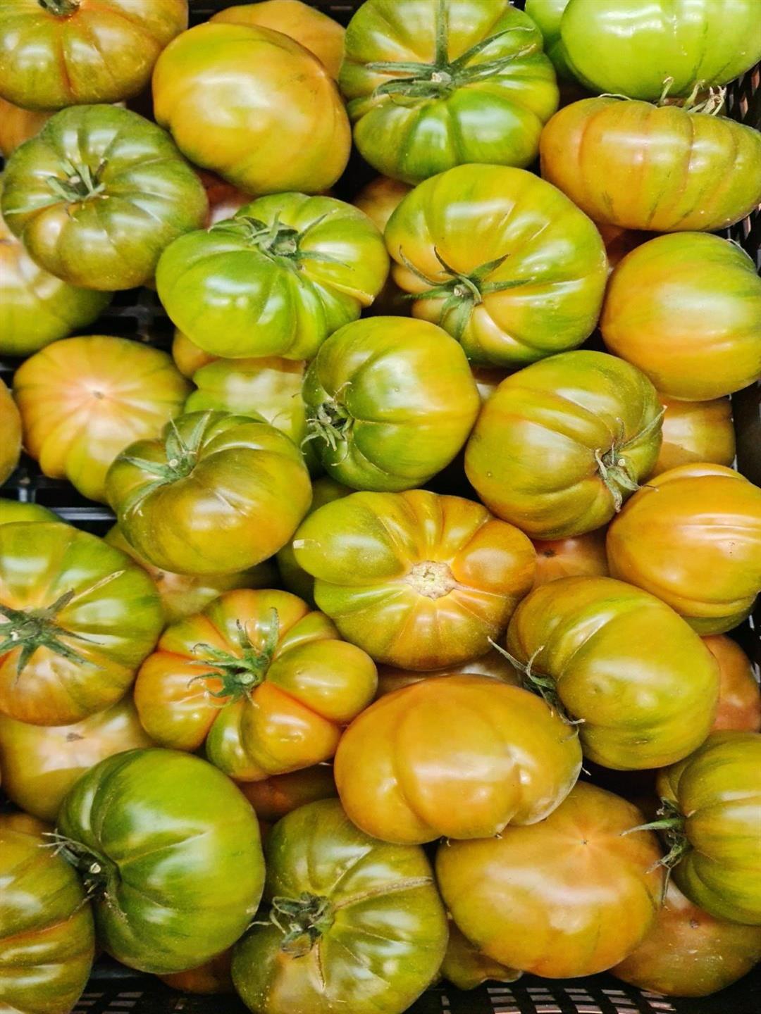 TOMATE RAF FRESCO GRANEL KILO