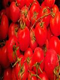 TOMATE RAMA FRESCO GRANEL KILO