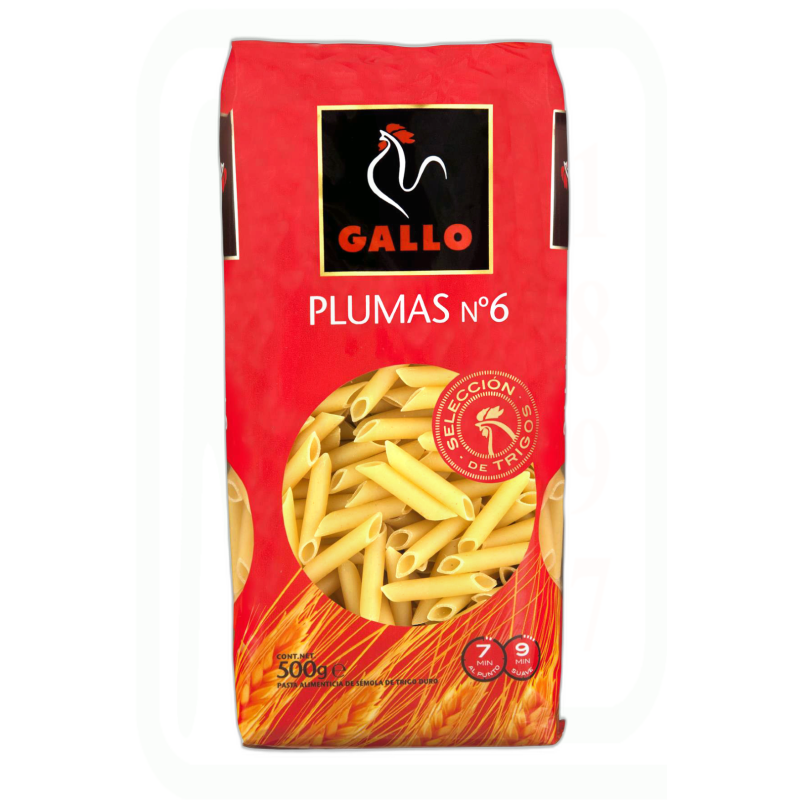 PASTA PLUMAS Nº6 450GR 