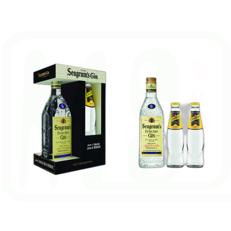 GINEBRA BOTELLA 70CL