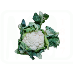 COLIFLOR FRESCA GRANEL