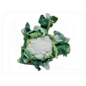 COLIFLOR FRESCA GRANEL