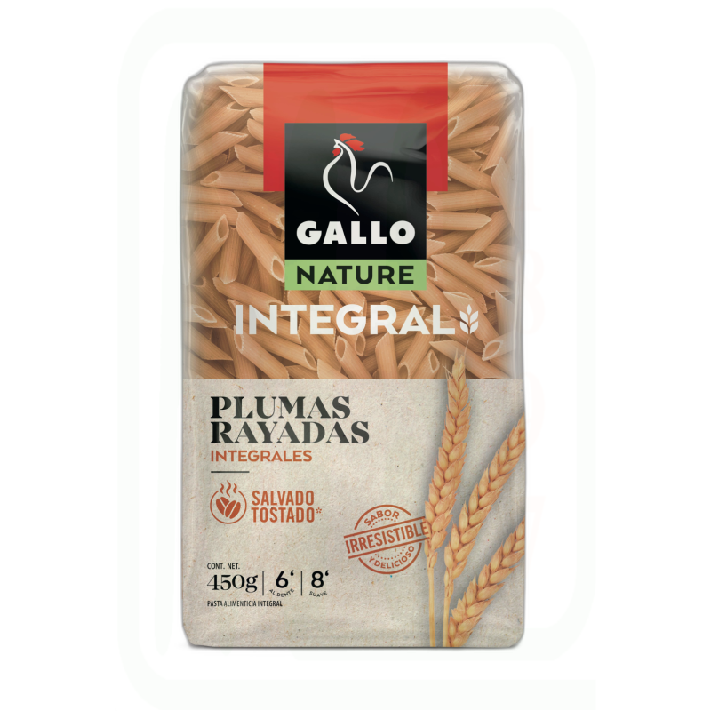 PASTA PLUMAS INTEGRAL 450 GR