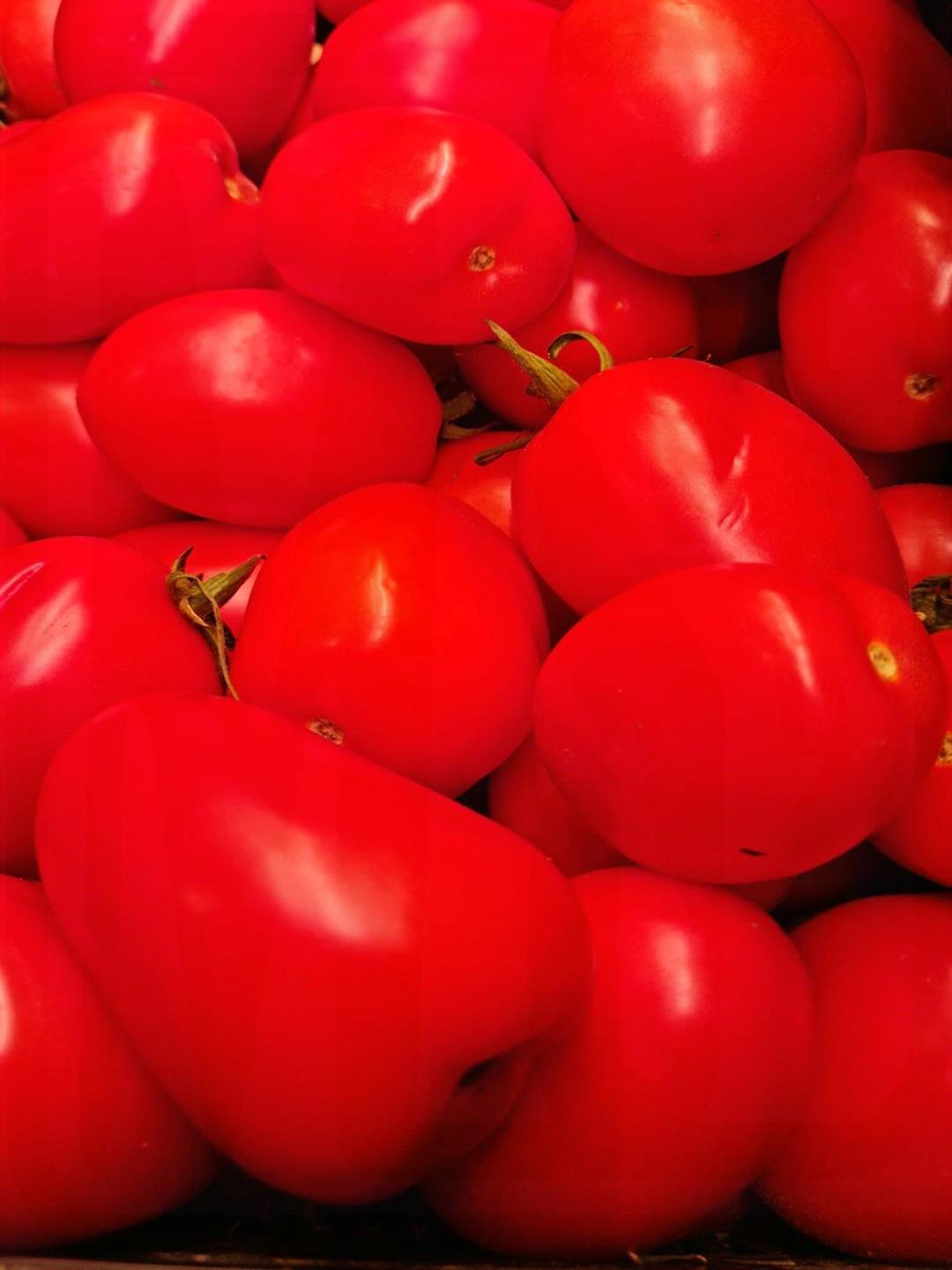 TOMATE DE PERA FRESCO GRANEL