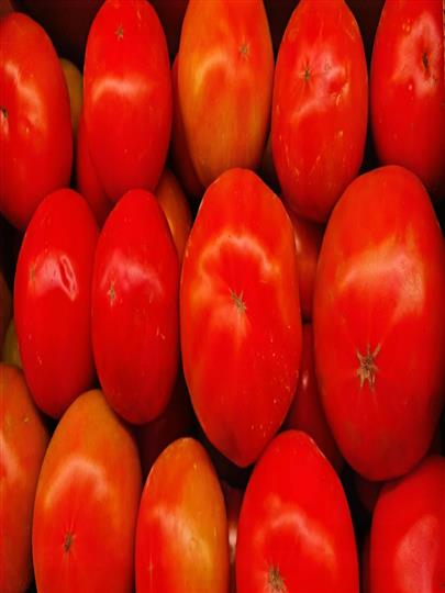 TOMATE VERDE ENSALADA FRESCO GRANEL