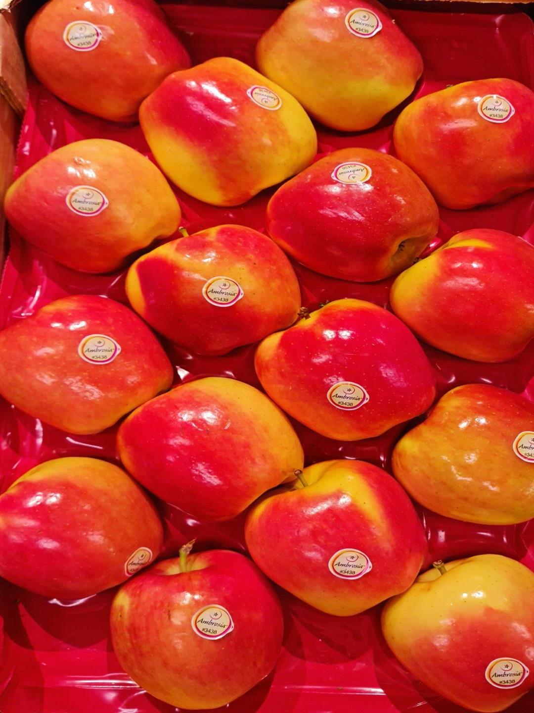 MANZANA AMBROSIA EXTRA FRESCA GRANEL