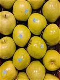 MANZANA GRANNY SMITH EXTRA FRECA GRANEL