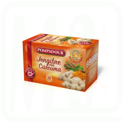 INFUSION JENGIBRE CURCUMA PACK-20