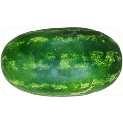 SANDIA RAYADA FRESCA GRANEL