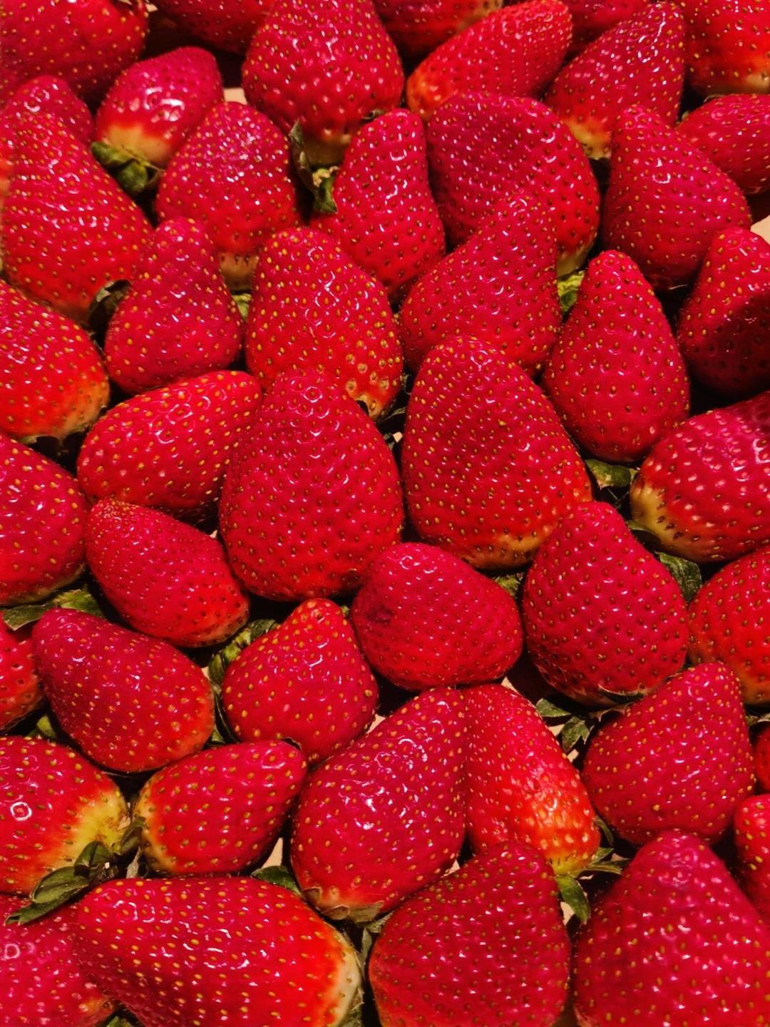 FRESAS EXTRA FRESCAS GRANEL