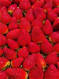 FRESAS EXTRA FRESCAS GRANEL