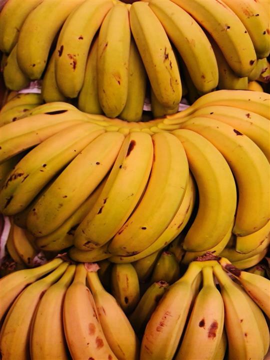 PLATANOS CANARIOS EXTRA FRESCOS GRANEL