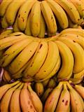 PLATANOS CANARIOS EXTRA FRESCOS GRANEL